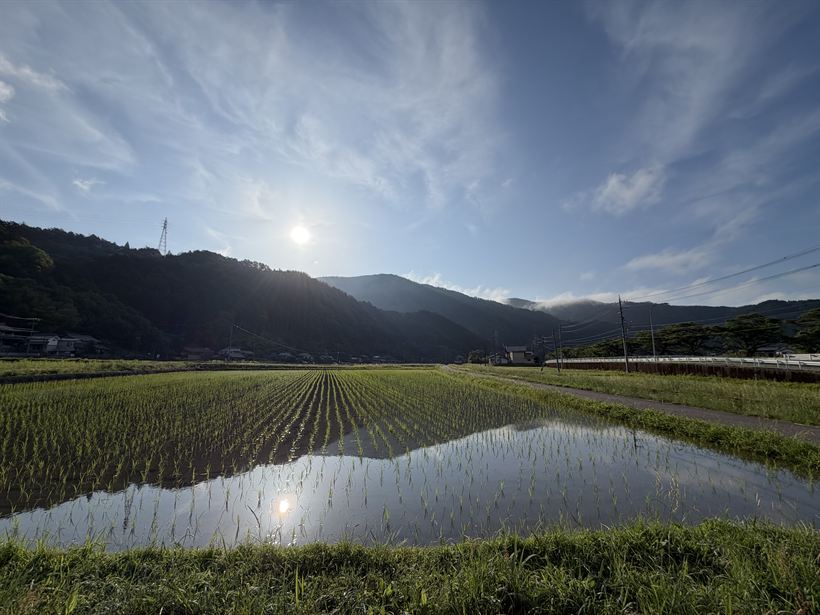 陽光を映す田植えの頃の水田と山並み
