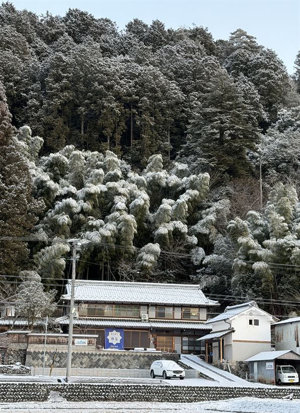 うっすら雪化粧した竹林と家並み