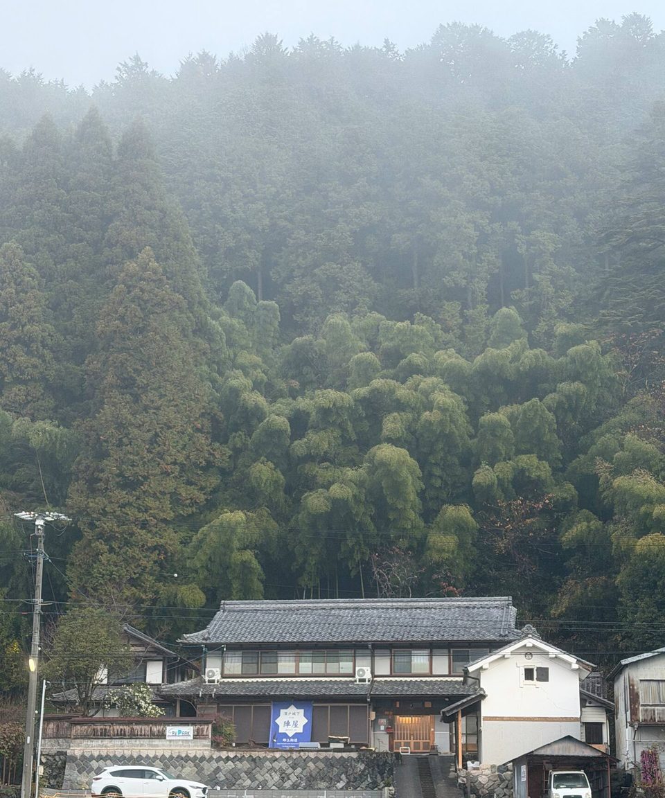 宿の周りの山あいの緑